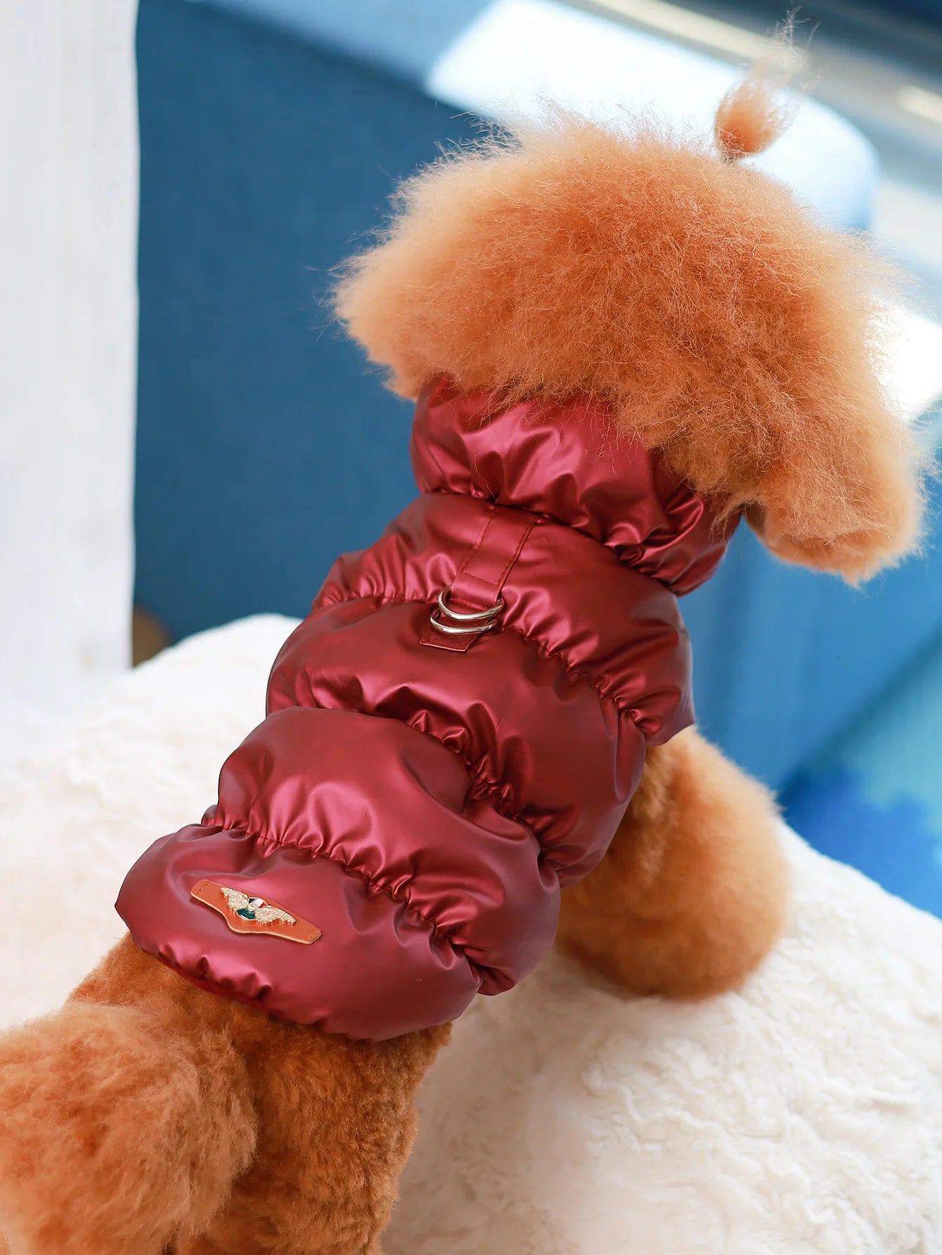 Cozy Paws™ Winter Dog Jacket
