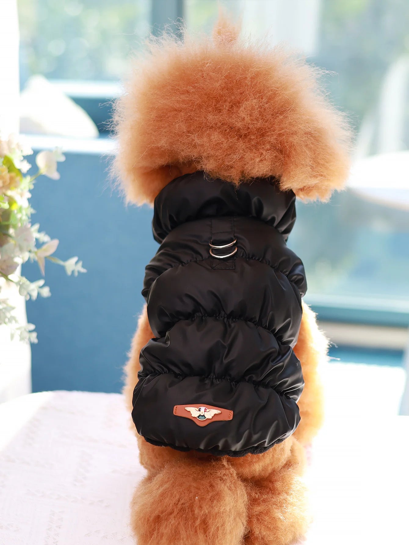 Cozy Paws™ Winter Dog Jacket