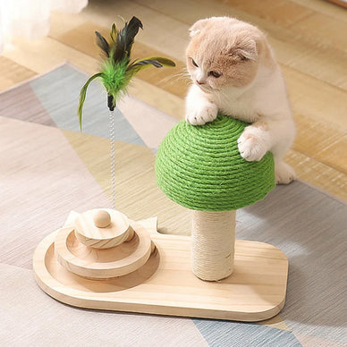 <em><strong>Welcome to M.S.A Store where happy pets come first.</strong></em>