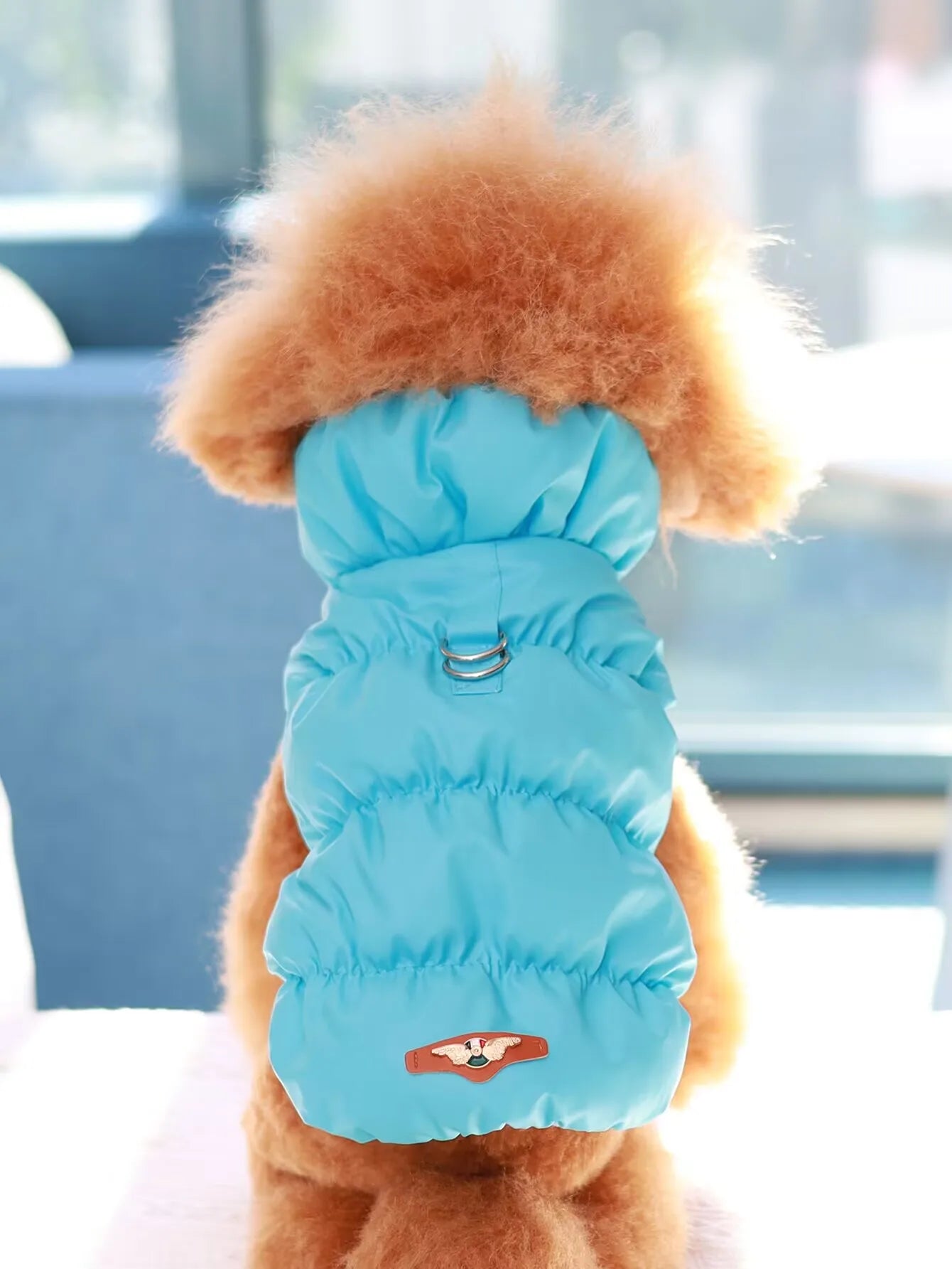 Cozy Paws™ Winter Dog Jacket