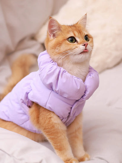 Cozy Paws™ Winter Dog Jacket