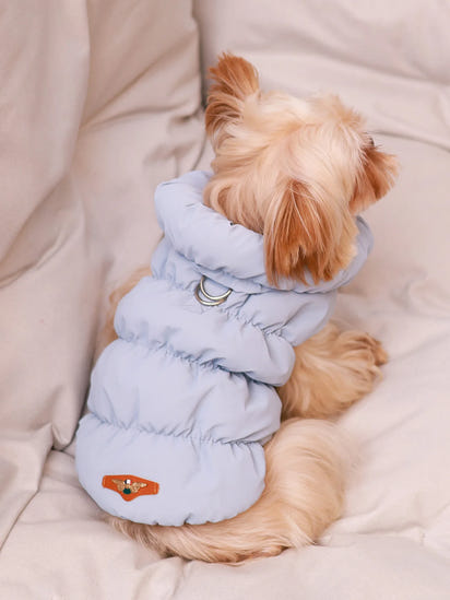 Cozy Paws™ Winter Dog Jacket